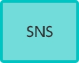 SNS